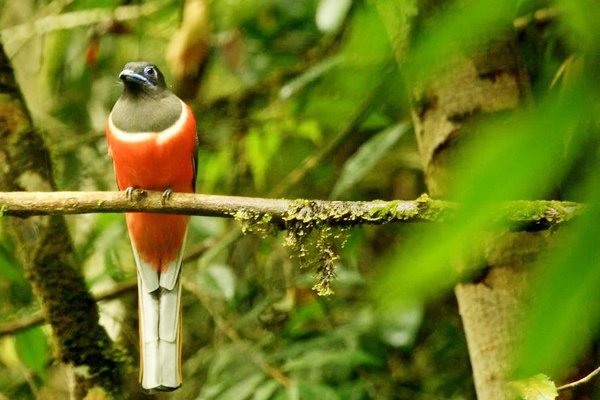 Kumana National Park