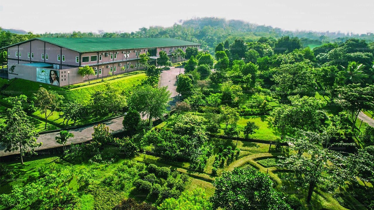 Ganewatta Medicinal Plant Garden