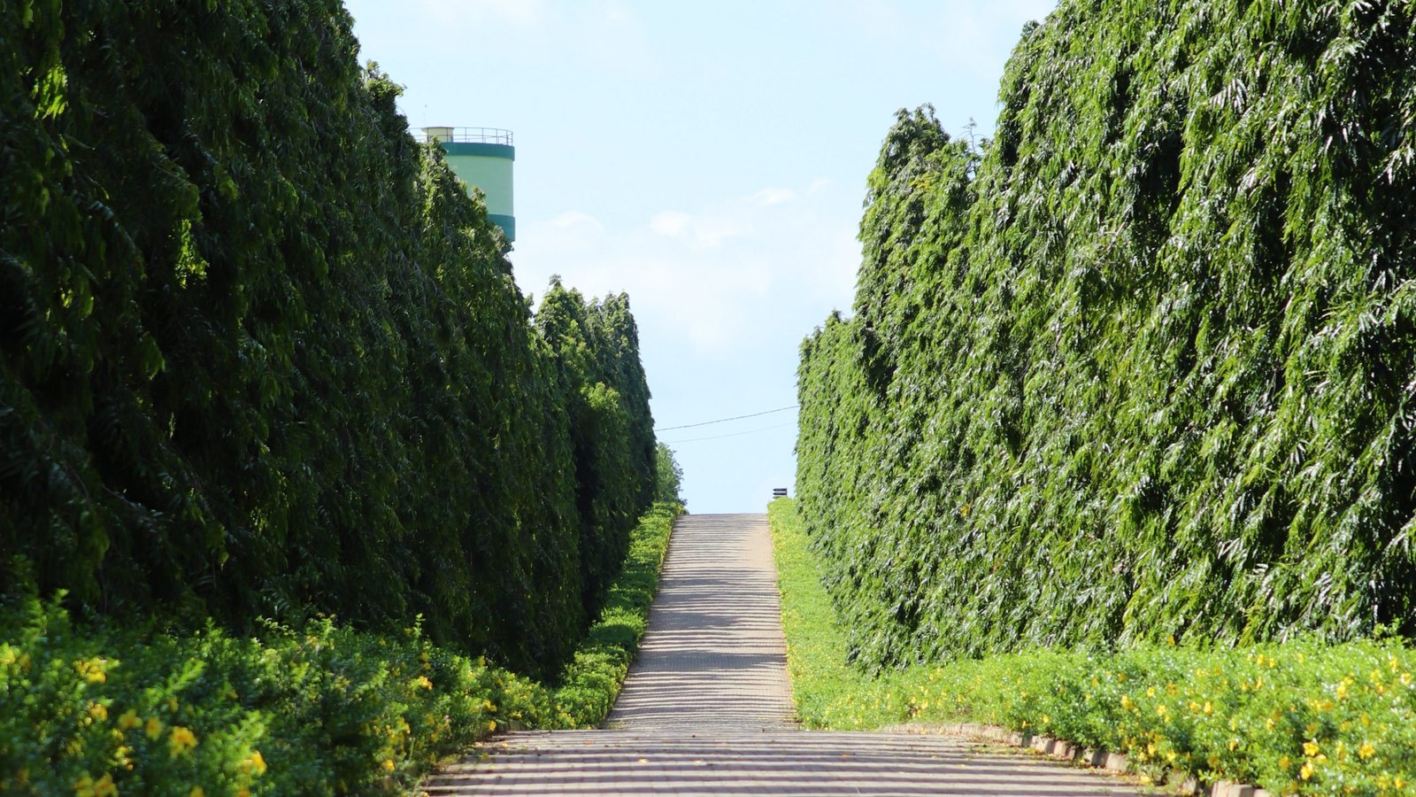 Mirijjawila Botanical Dry Zone Garden