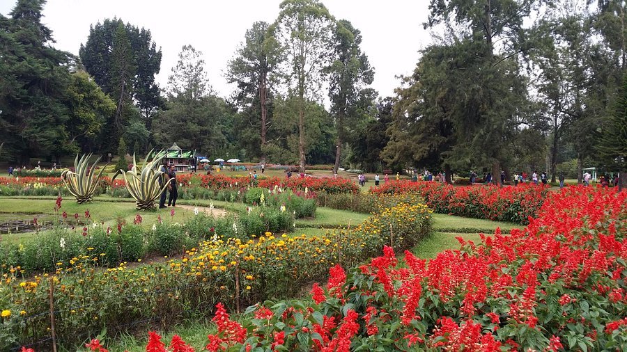 Victoria Park Nuwara Eliya