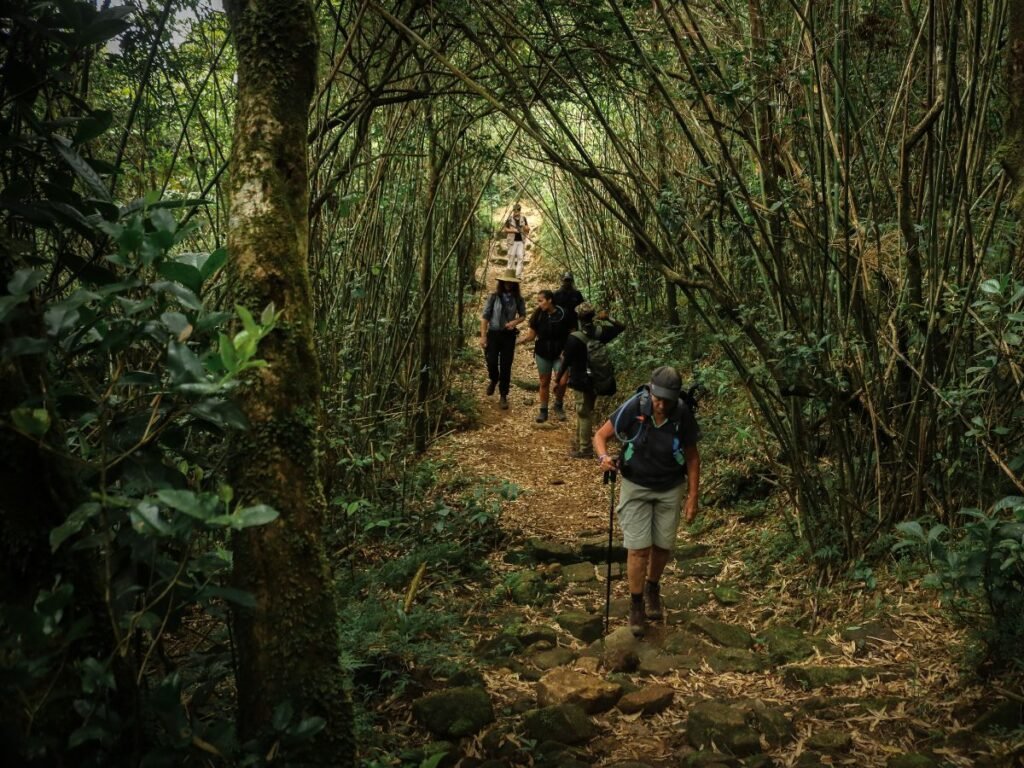 Knuckles Forest Reserve