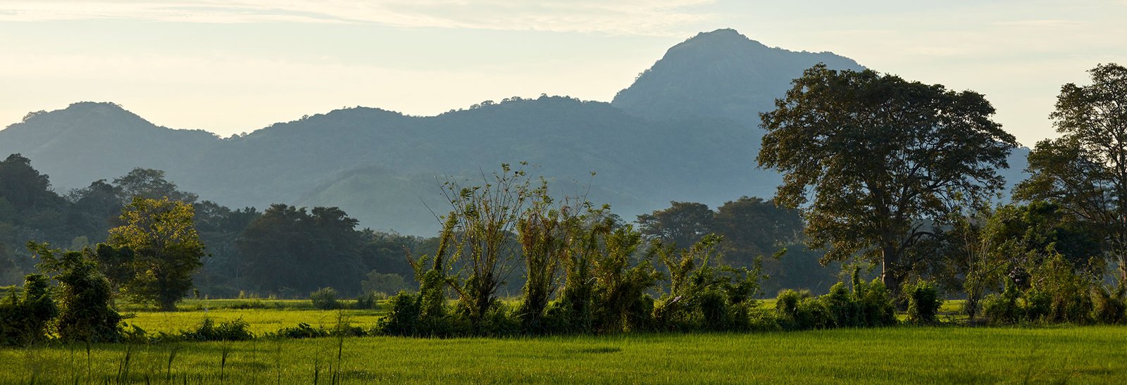 Wellawaya experience